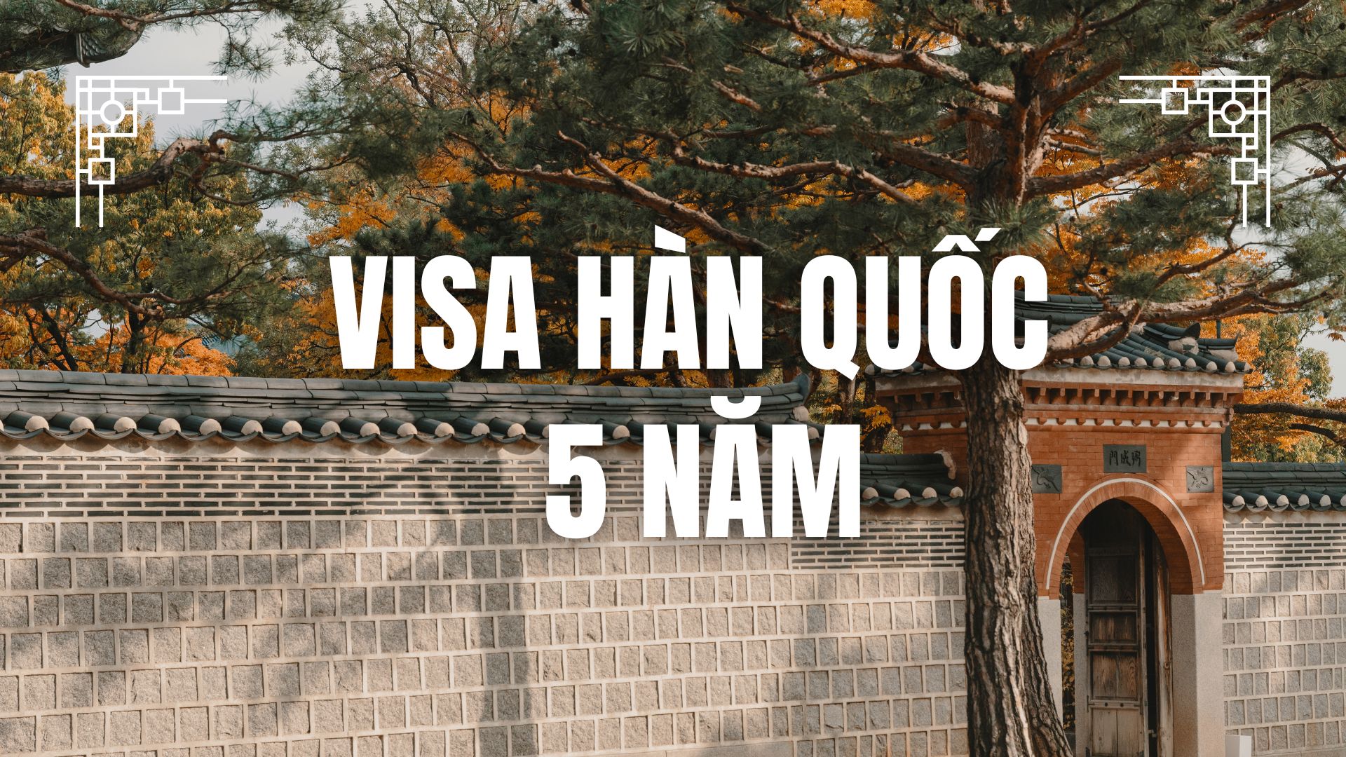 Visa Hàn Quốc 5 năm