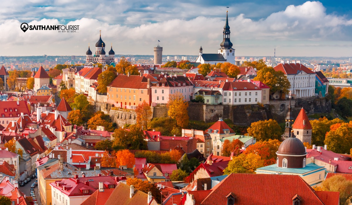Estonia Sài Thành Tourist