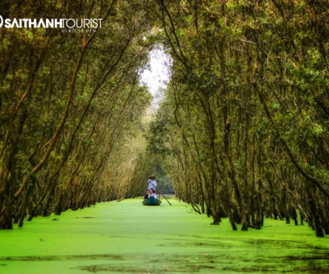 TOUR CHÂU ĐỐC – RỪNG TRÀM TRÀ SƯ– CẦN THƠ 2N2D