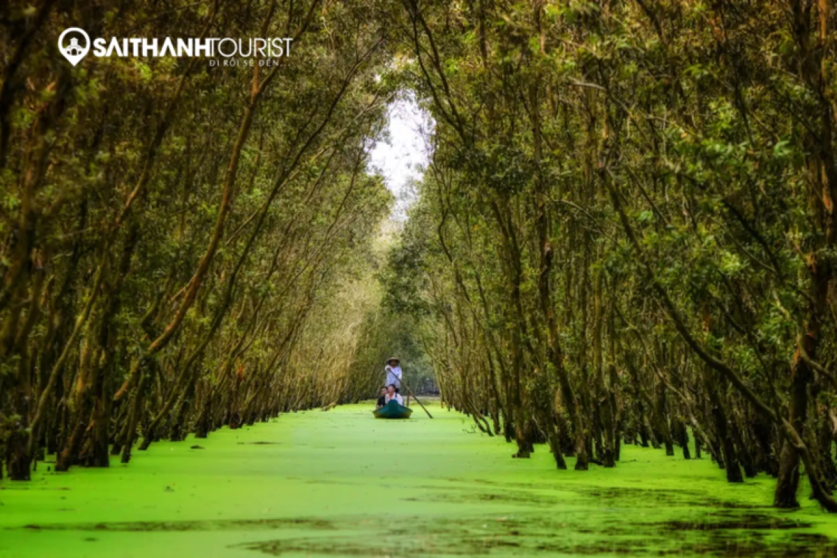 TOUR CHÂU ĐỐC – RỪNG TRÀM TRÀ SƯ– CẦN THƠ 2N2D