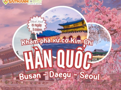 BUSAN - DAEGU - SEOUL