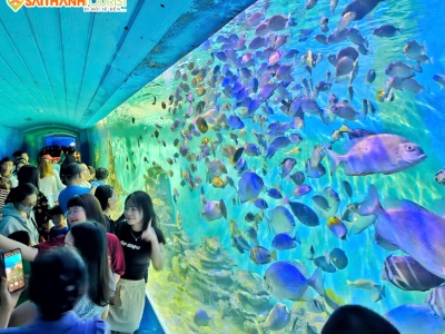 NHA TRANG - TẮM BÙN - MIREA HÒN SỎI