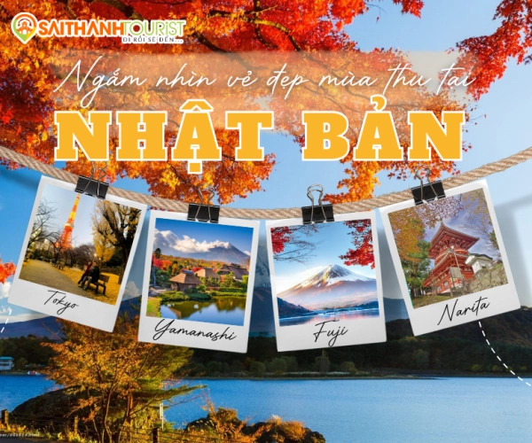 nhat-ban-yamanashi-hakone-tokyo-narita-5n4d