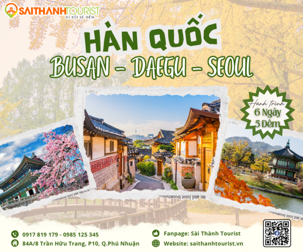 busan-daegu-seoul
